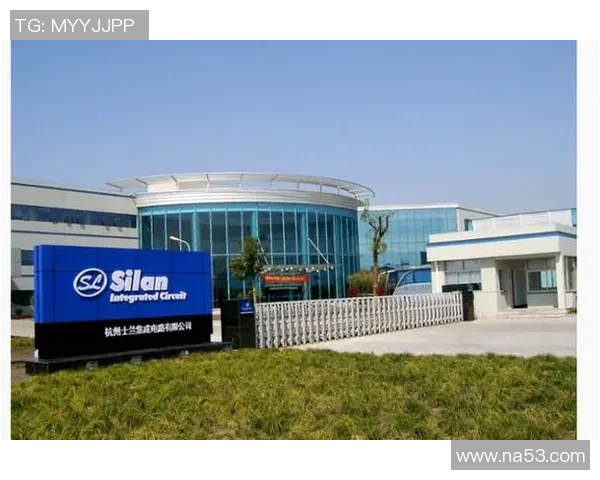 杭州排球队的力量变革引发热议全新战术与团队协作的崛起之路