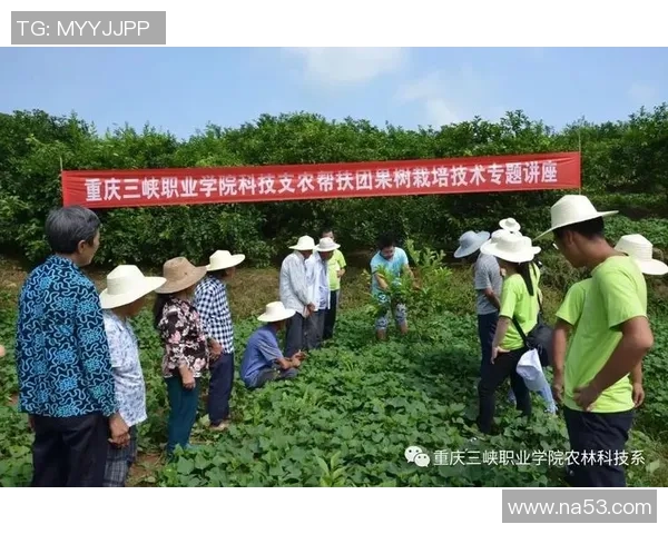 重庆足球队的精神之旅:深入探索他们的团队意识与文化传承 重庆足球队的精神之旅:深入探索他们的团队意识与文化传承