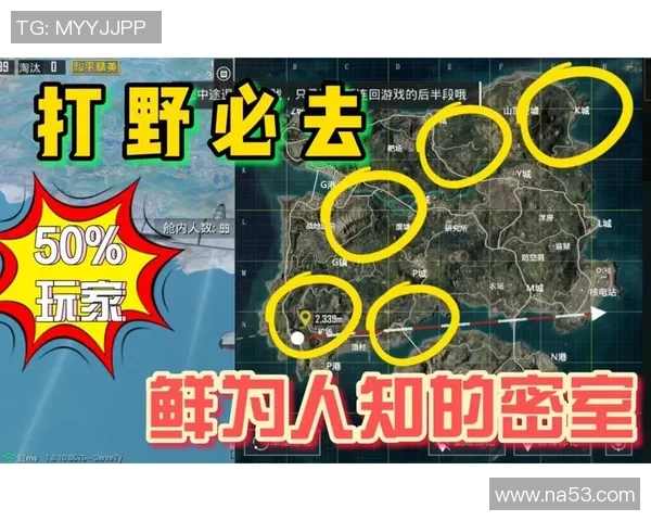 和平精英深度：解密LNG的进攻