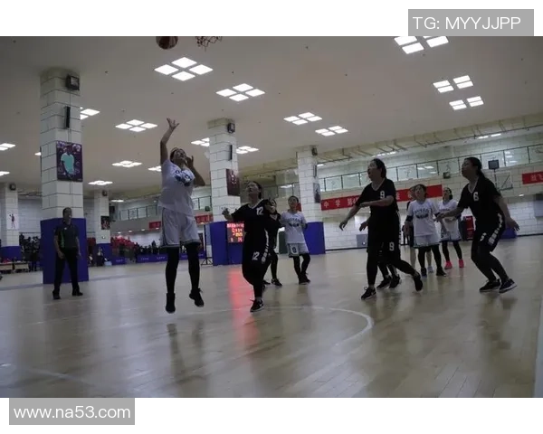 对话杨芳：谈篮球生涯