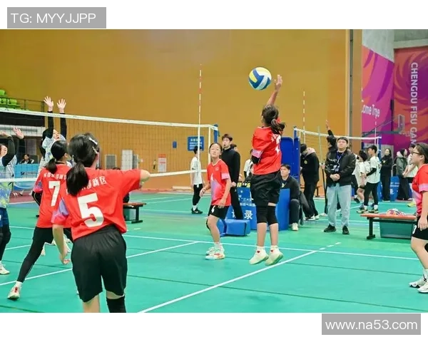 排球深度：解密成都排球队的运营