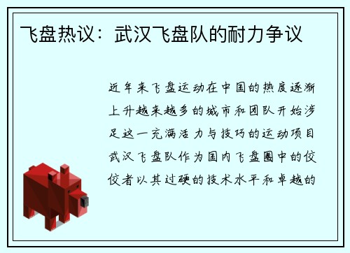 飞盘热议：武汉飞盘队的耐力争议