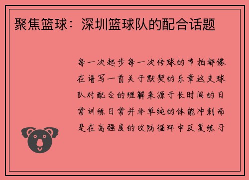 聚焦篮球：深圳篮球队的配合话题