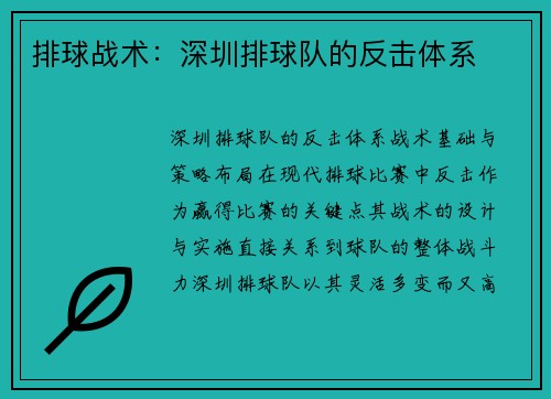 排球战术：深圳排球队的反击体系