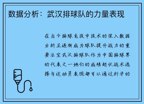 数据分析：武汉排球队的力量表现